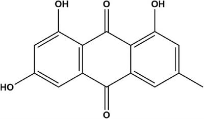 Emodin Interferes With Nitroglycerin-Induced Migraine in Rats Through CGMP-PKG Pathway